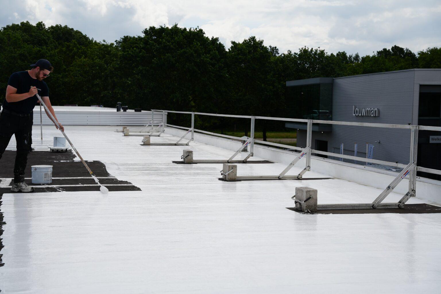 Liquid roofing